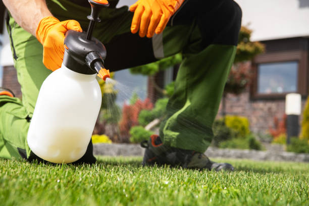 Best Ant Control Services  in Buckingham, FL