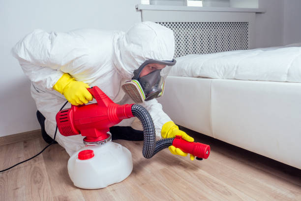 Wasp Removal Services in Buckingham, FL