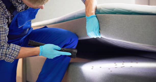 Professional Pest Control in Buckingham, FL