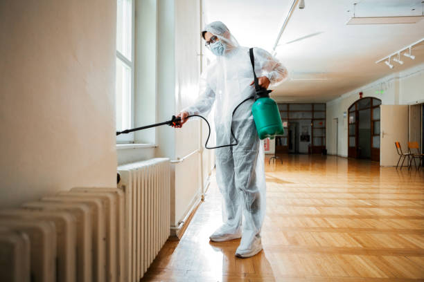 Best Flea Control Services  in Buckingham, FL